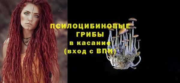 мяу мяу мука Белокуриха