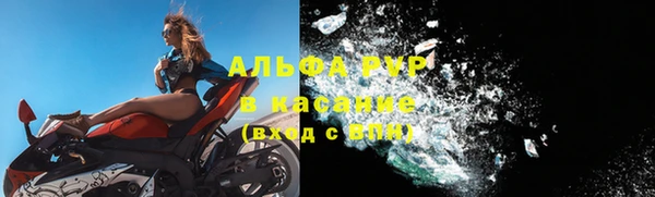 мяу мяу мука Белокуриха