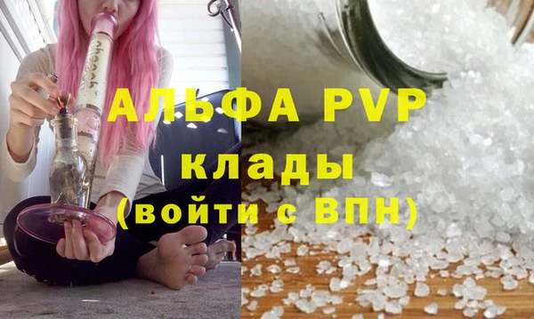 мяу мяу мука Белокуриха