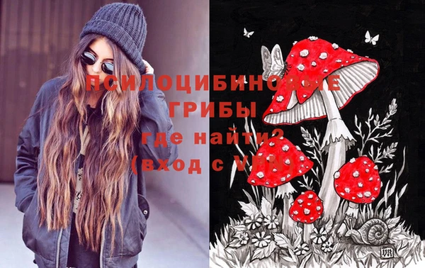 мяу мяу мука Белокуриха