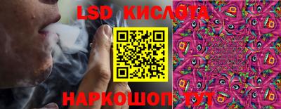 PSILOCYBIN Беслан