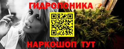 PSILOCYBIN Беслан